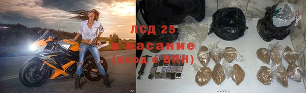 амф Алзамай