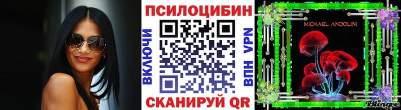 цена   Конаково  Галлюциногенные грибы Cubensis 
